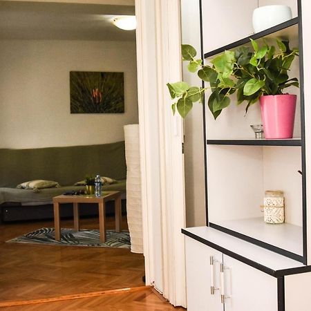 Apartment Kiwi Novi Sad Exteriér fotografie