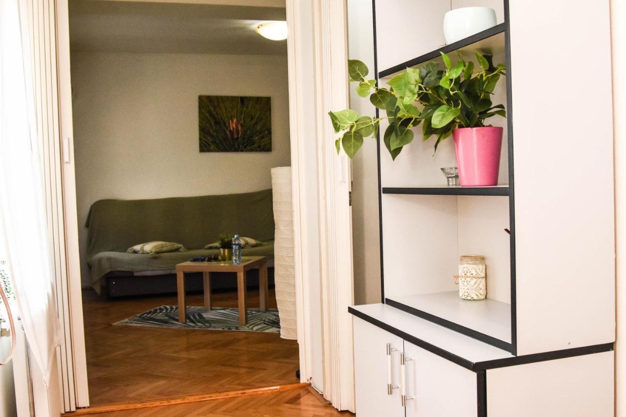 Apartment Kiwi Novi Sad Exteriér fotografie